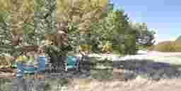 EMF-Quiet Shady Spot for Soaking in the Natural Beauty