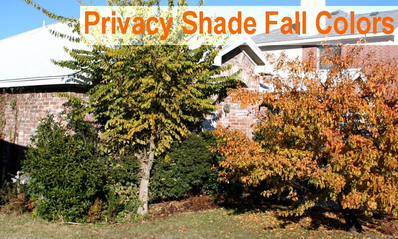 property-listing