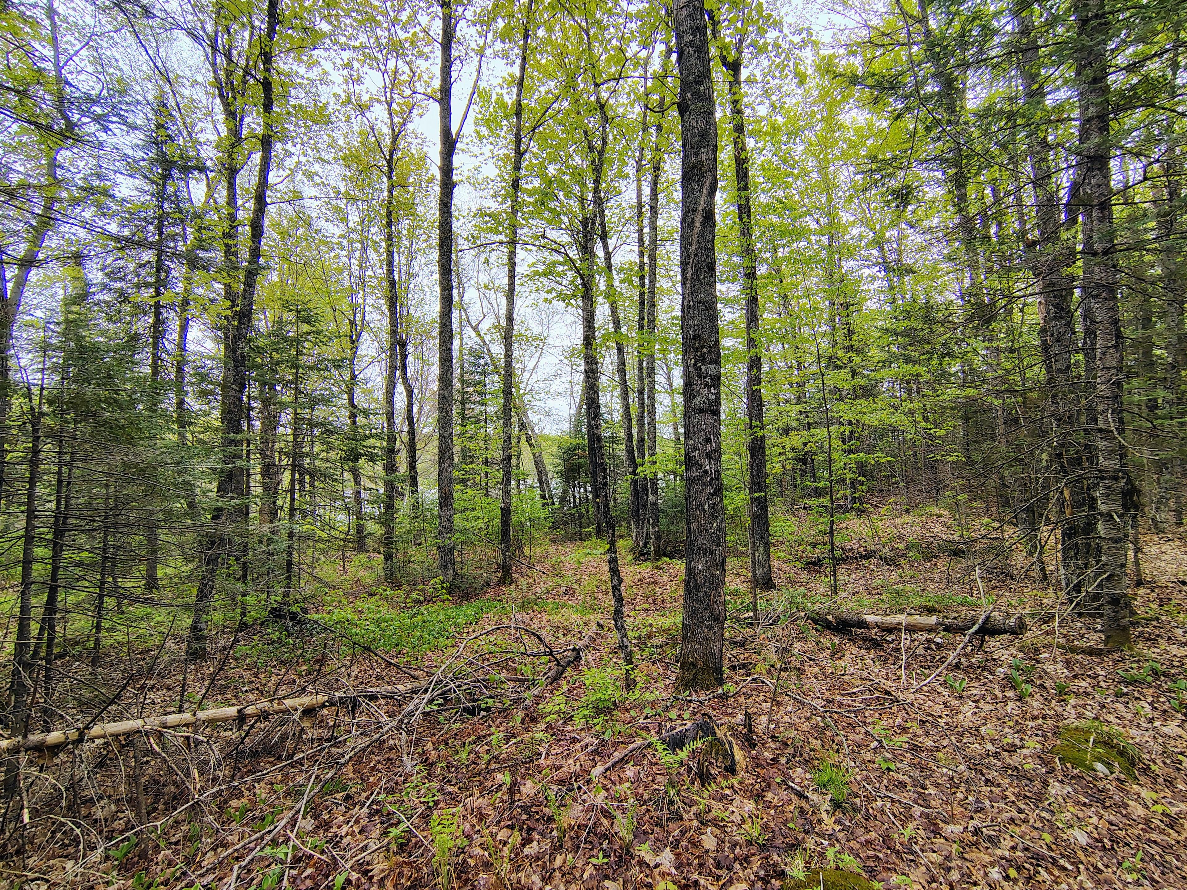 property-listing
