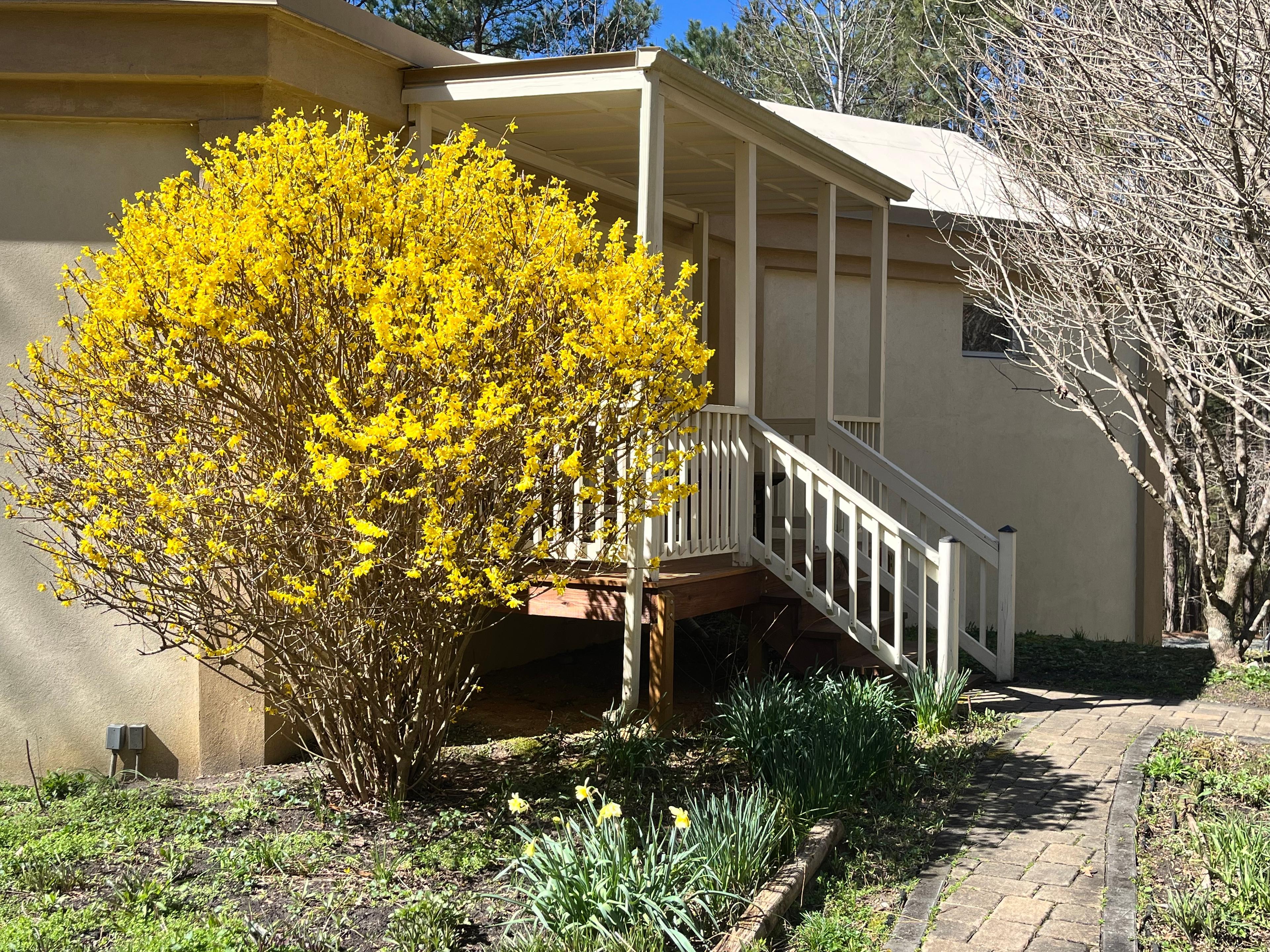 property-listing