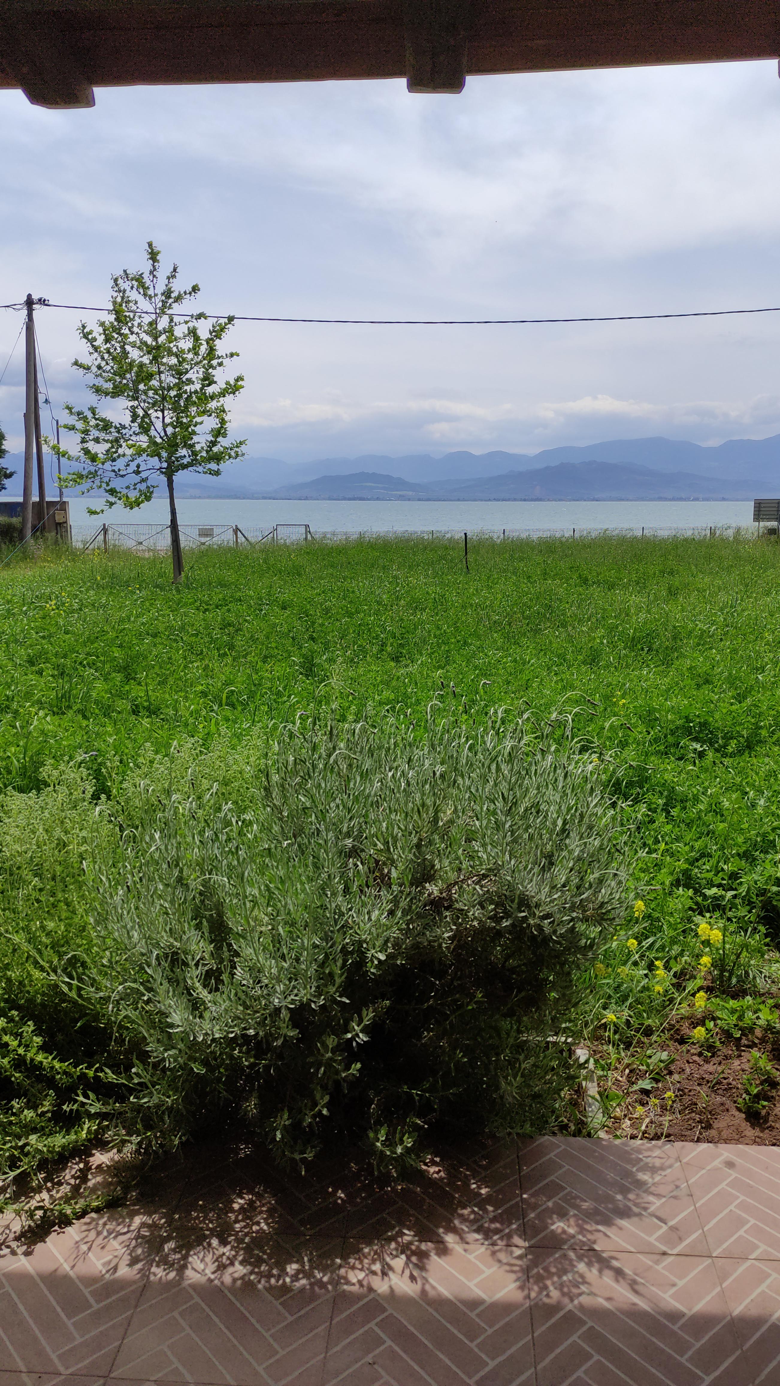 green_photos