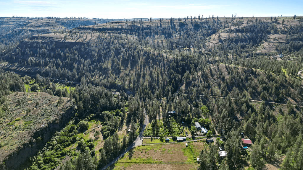 property-listing