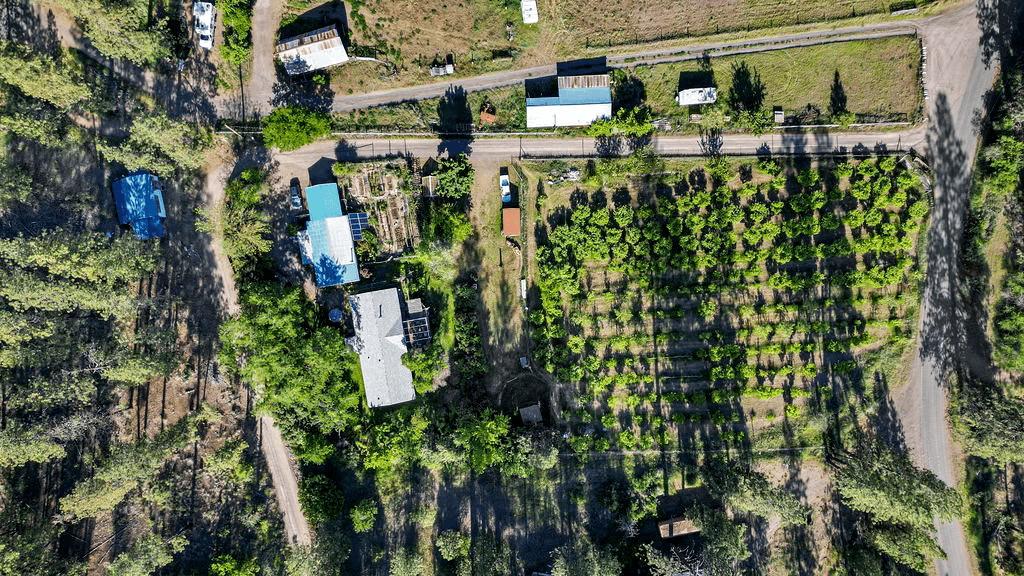 property-listing