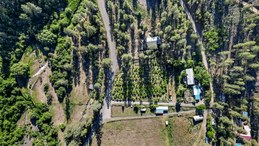property-listing