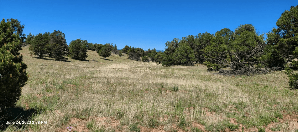 property-listing