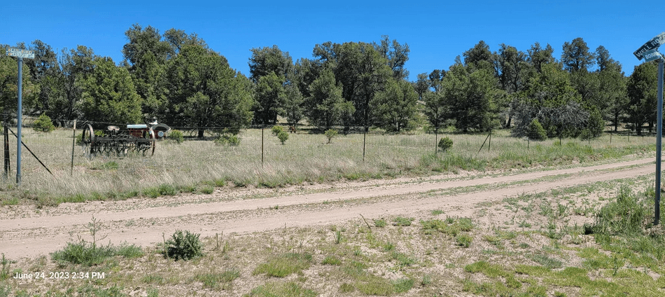 property-listing