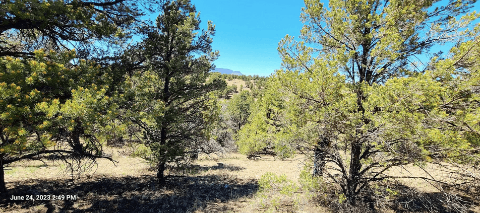 property-listing