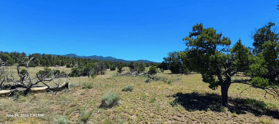 property-listing