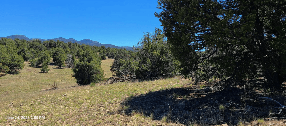 property-listing