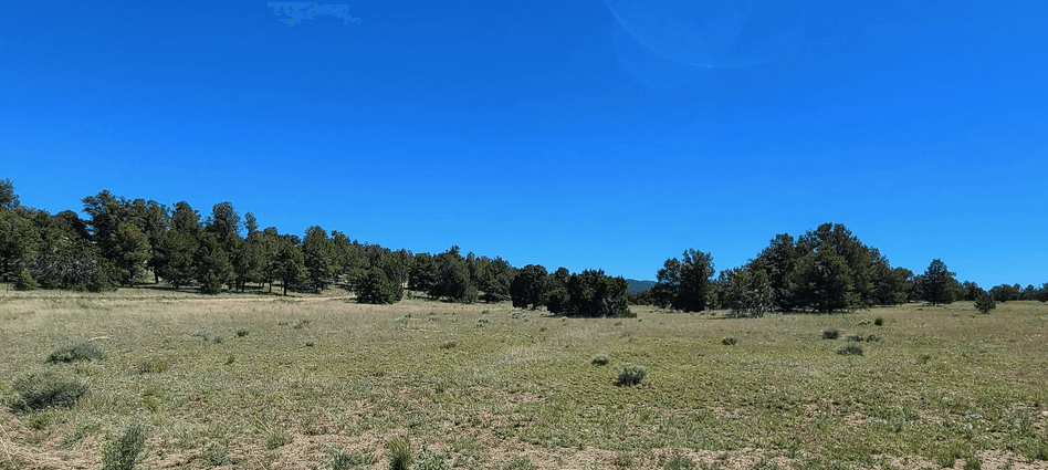 property-listing