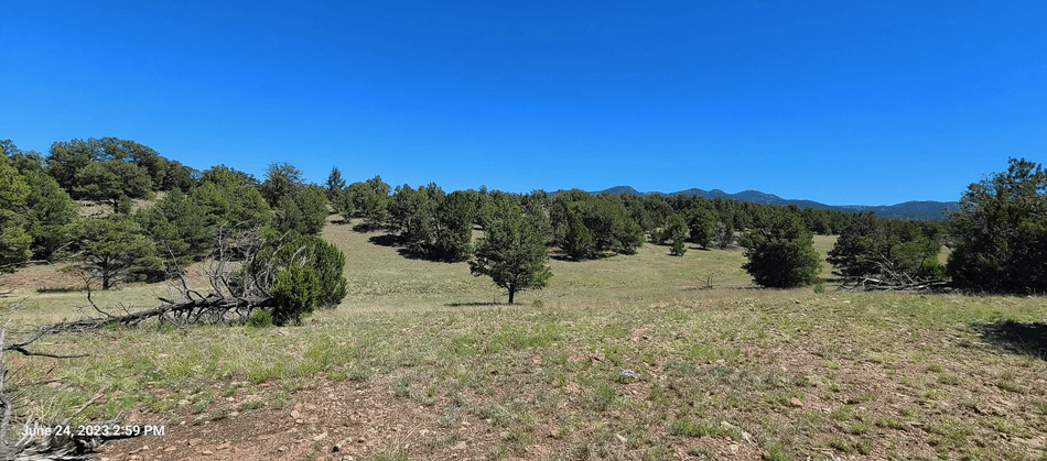property-listing