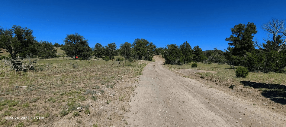 property-listing