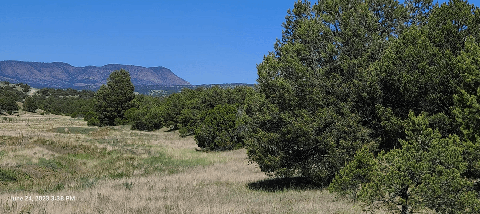property-listing