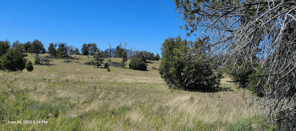 property-listing