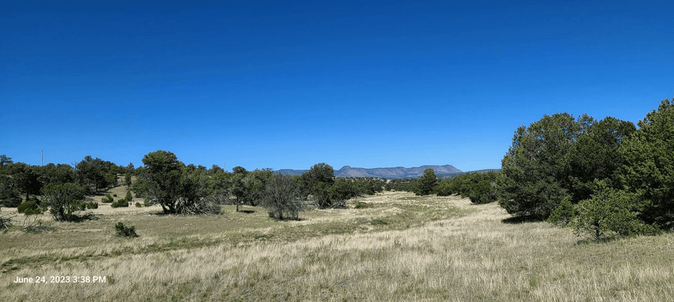 property-listing