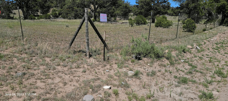 property-listing