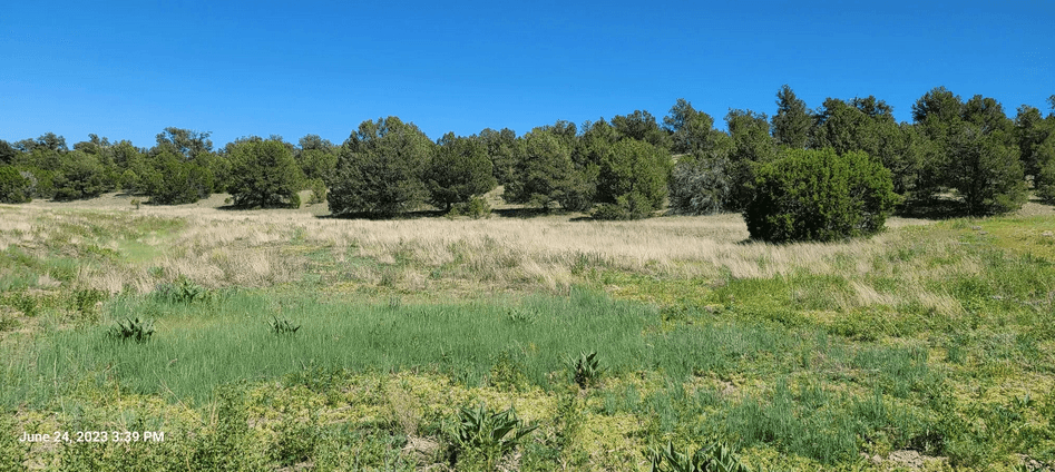 property-listing