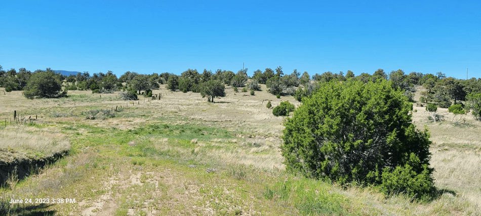 property-listing