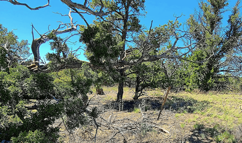 property-listing