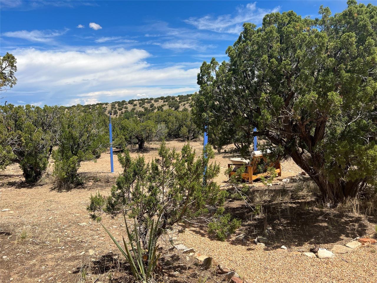 property-listing