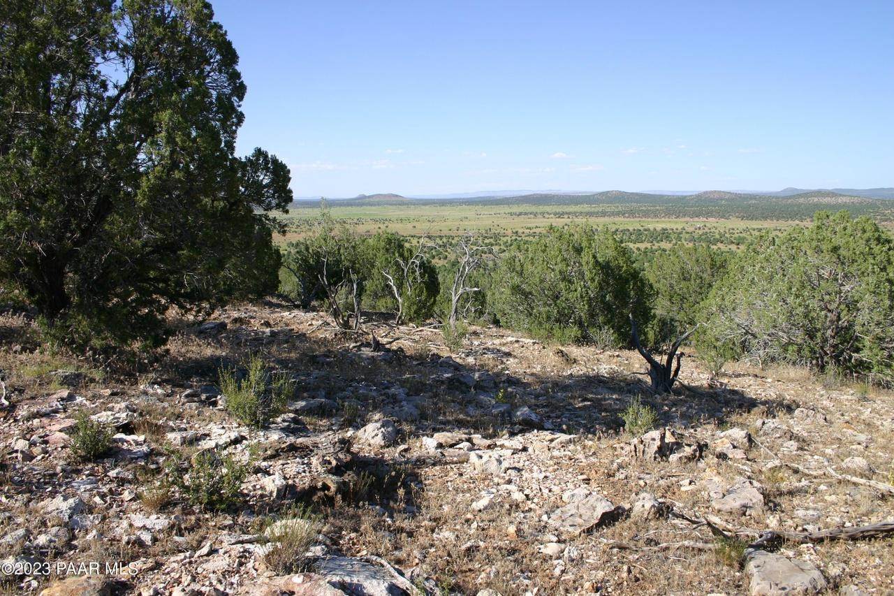 Green Homes for Sale - Seligman, Arizona Green Home