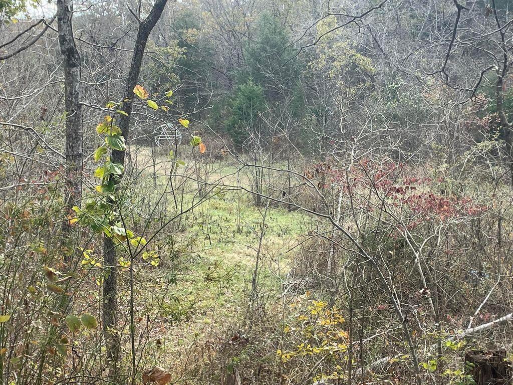 property-listing