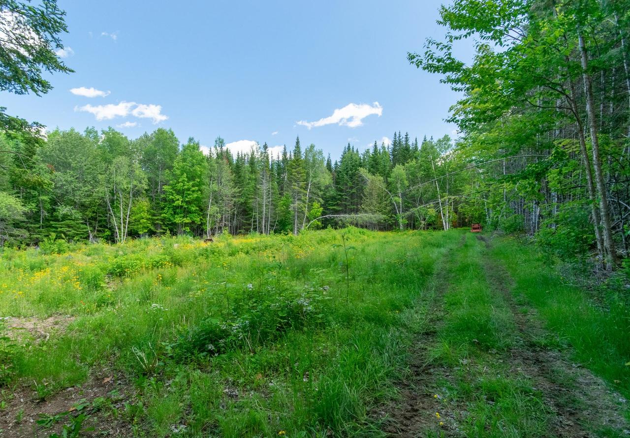 property-listing