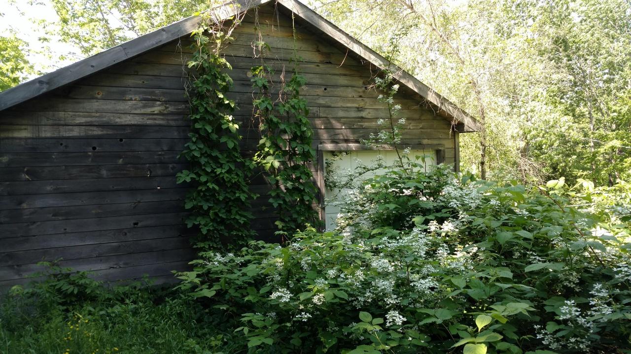 property-listing