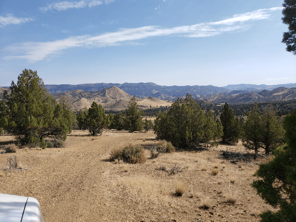 property-listing