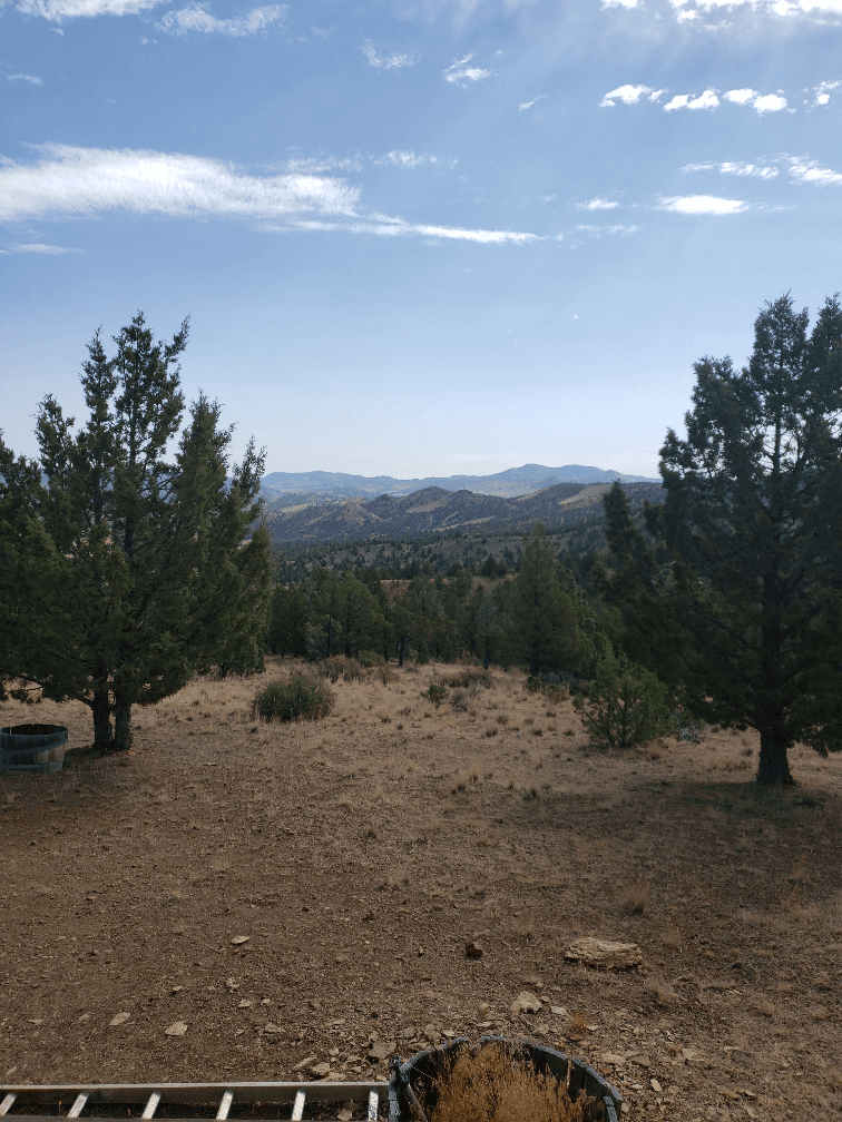 property-listing