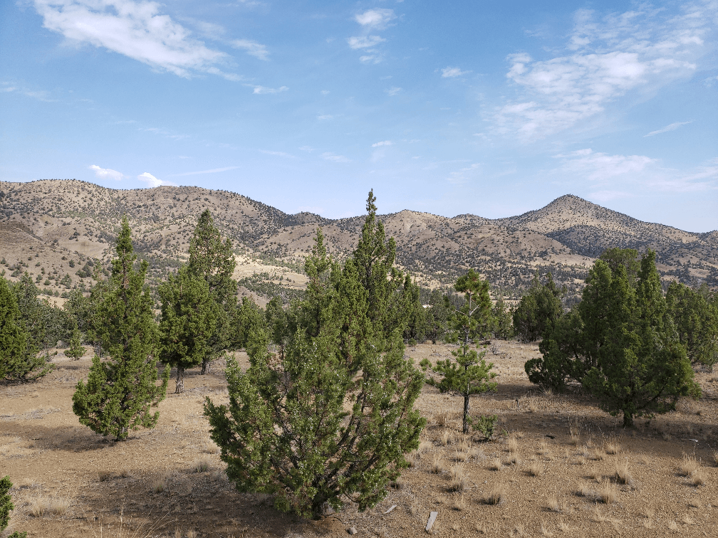property-listing
