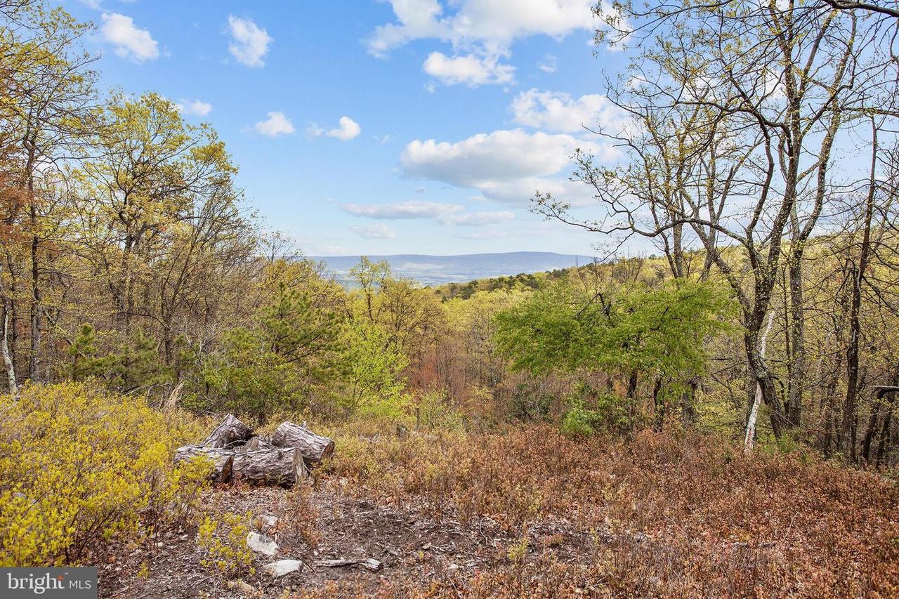 property-listing