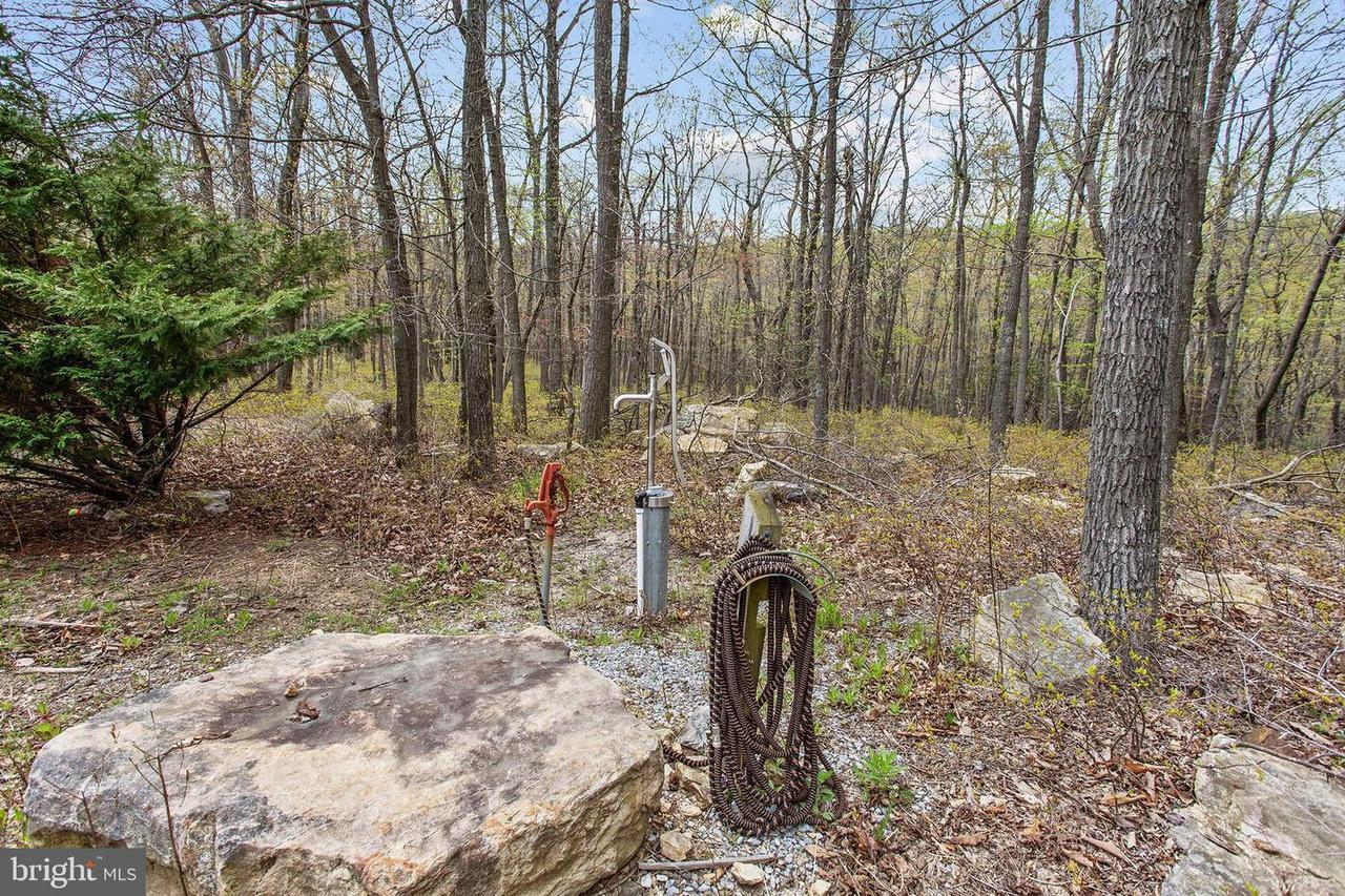 property-listing