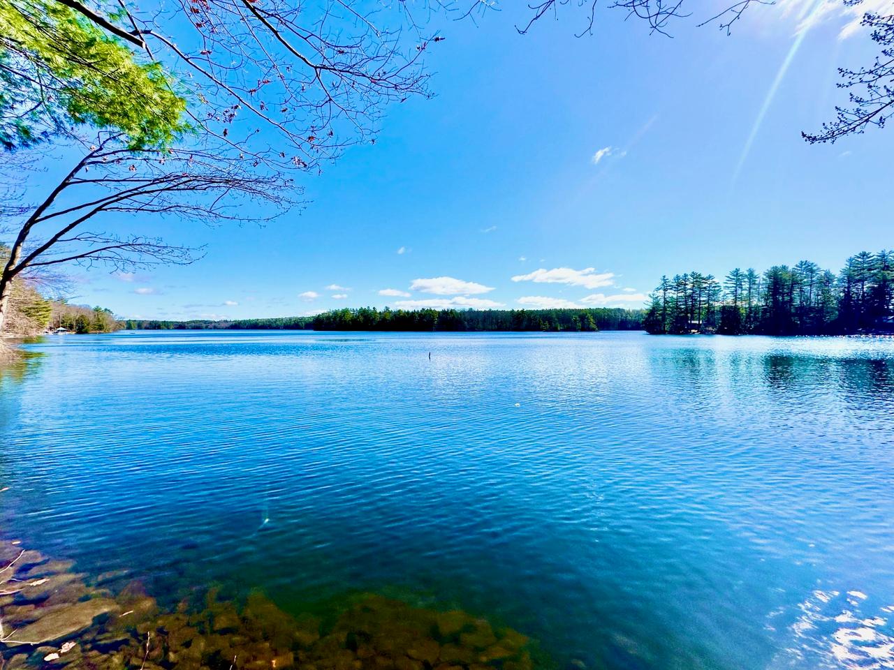 property-listing