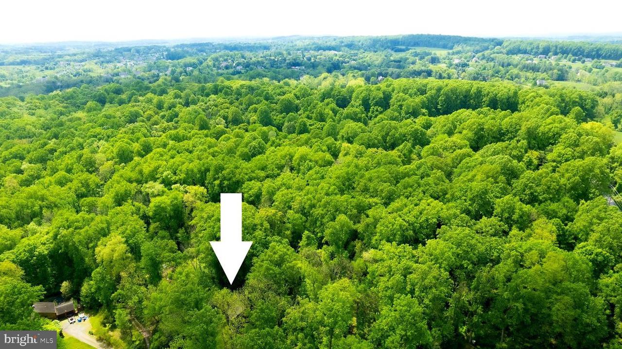 property-listing
