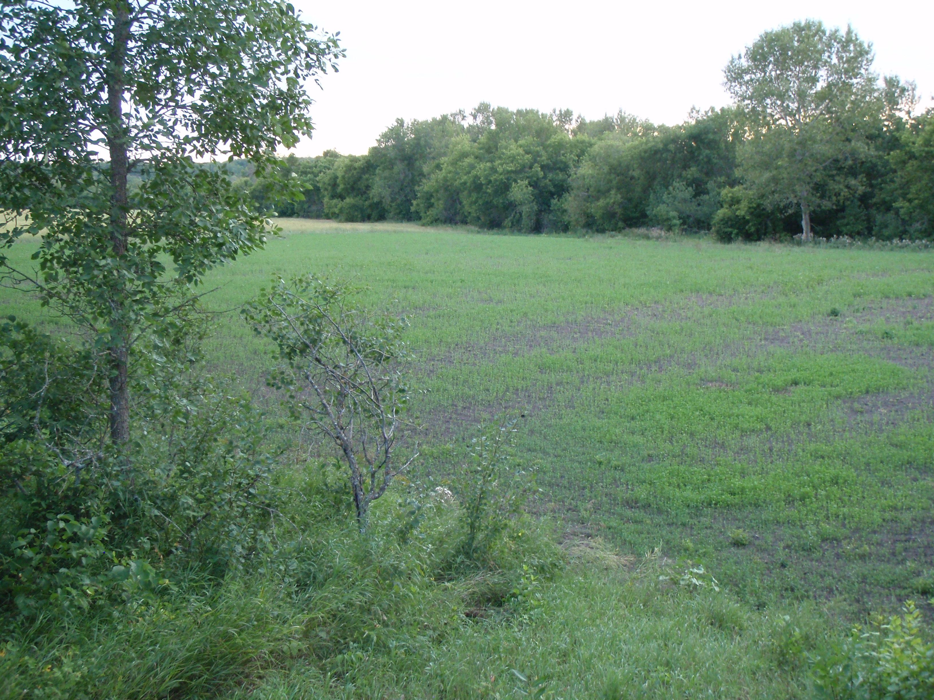 property-listing