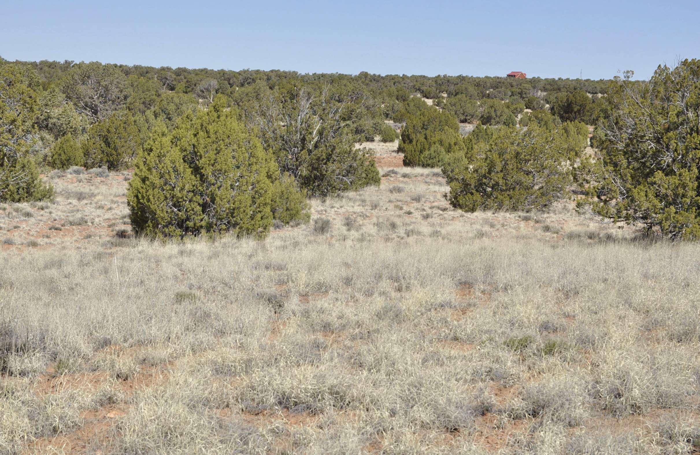 property-listing