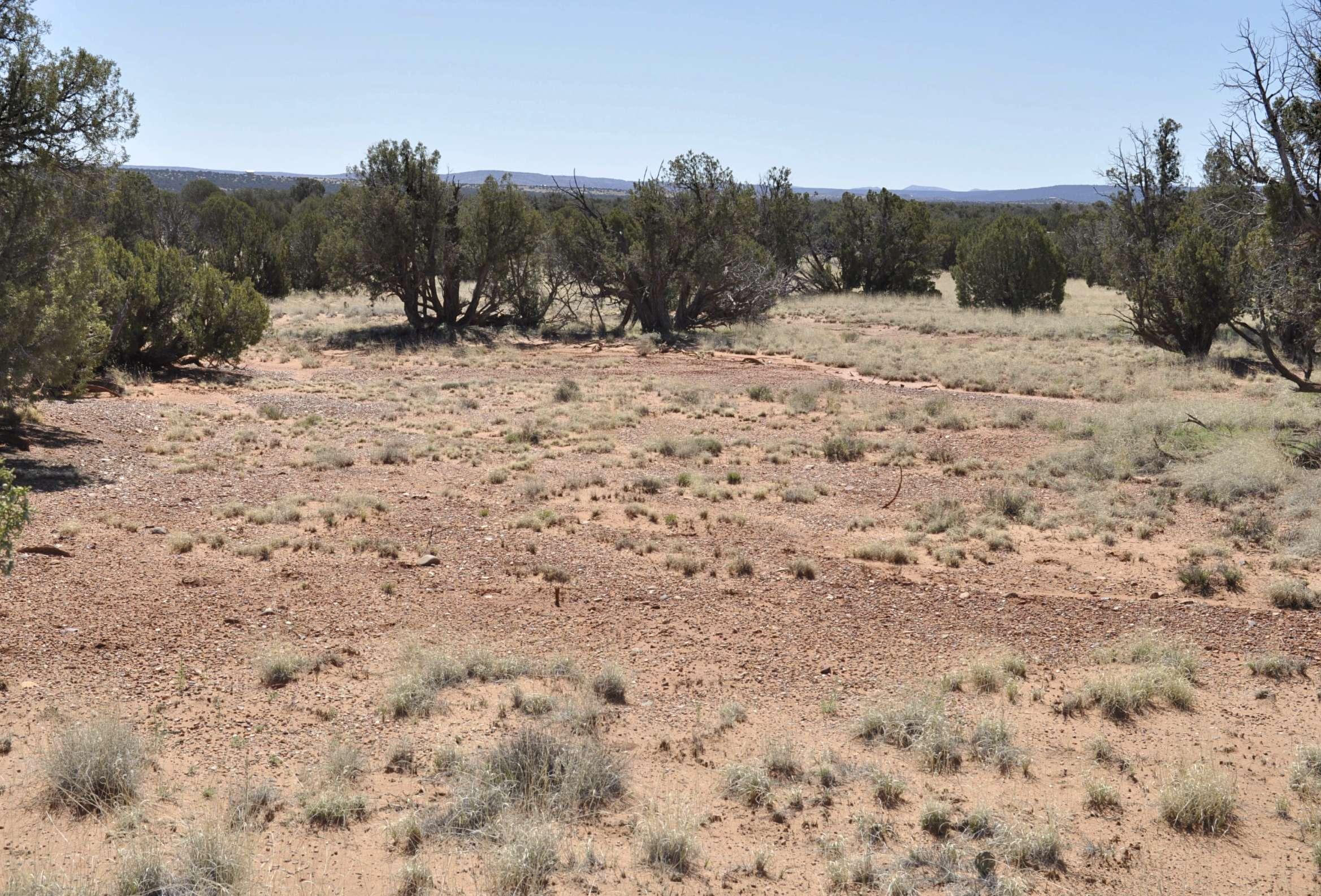 property-listing