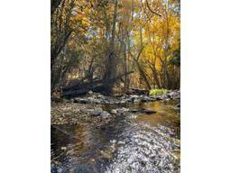 listing-thumbnails
