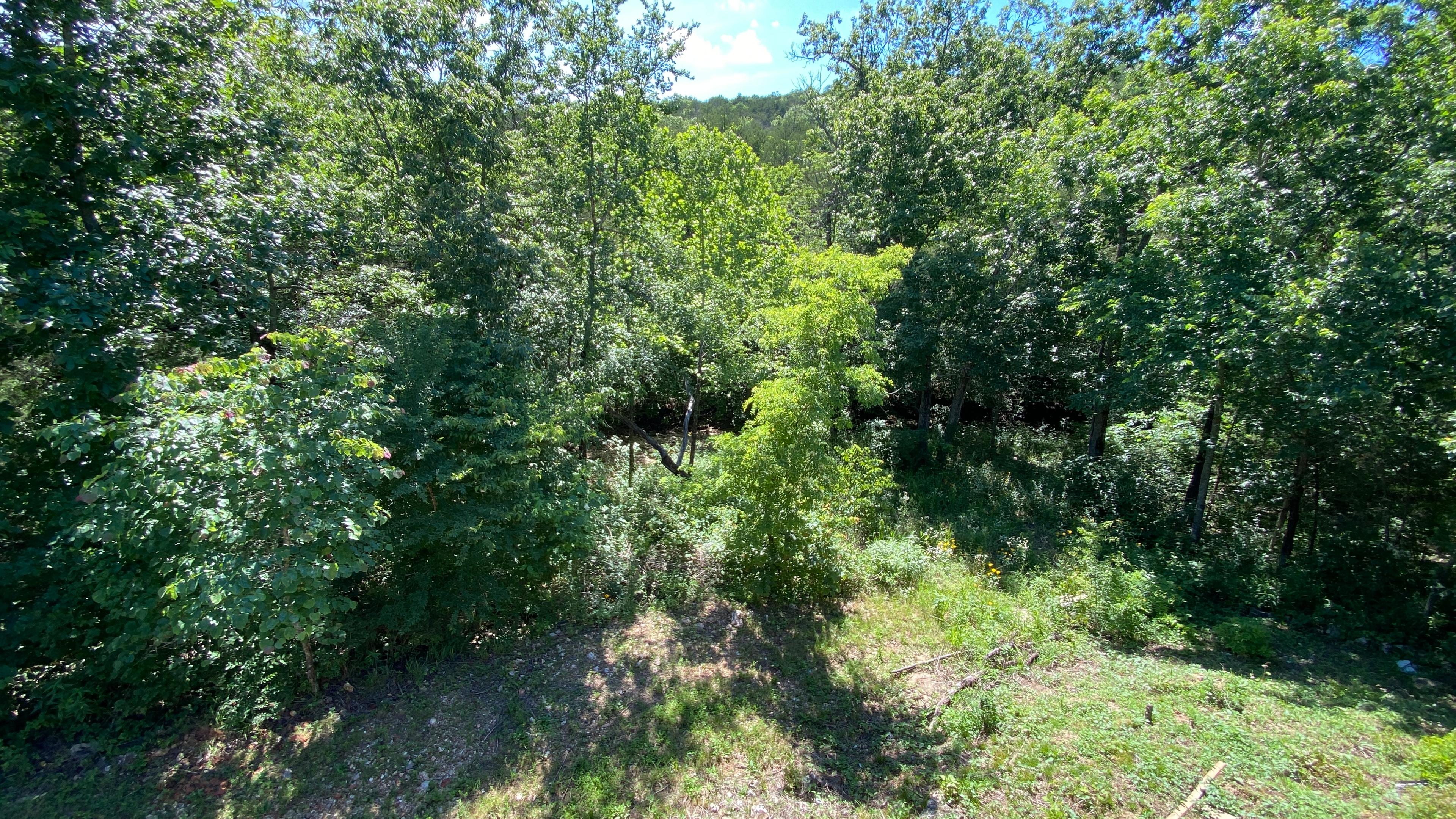 property-listing