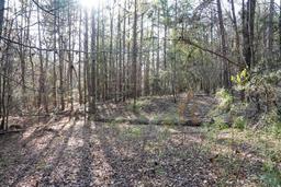 listing-thumbnails