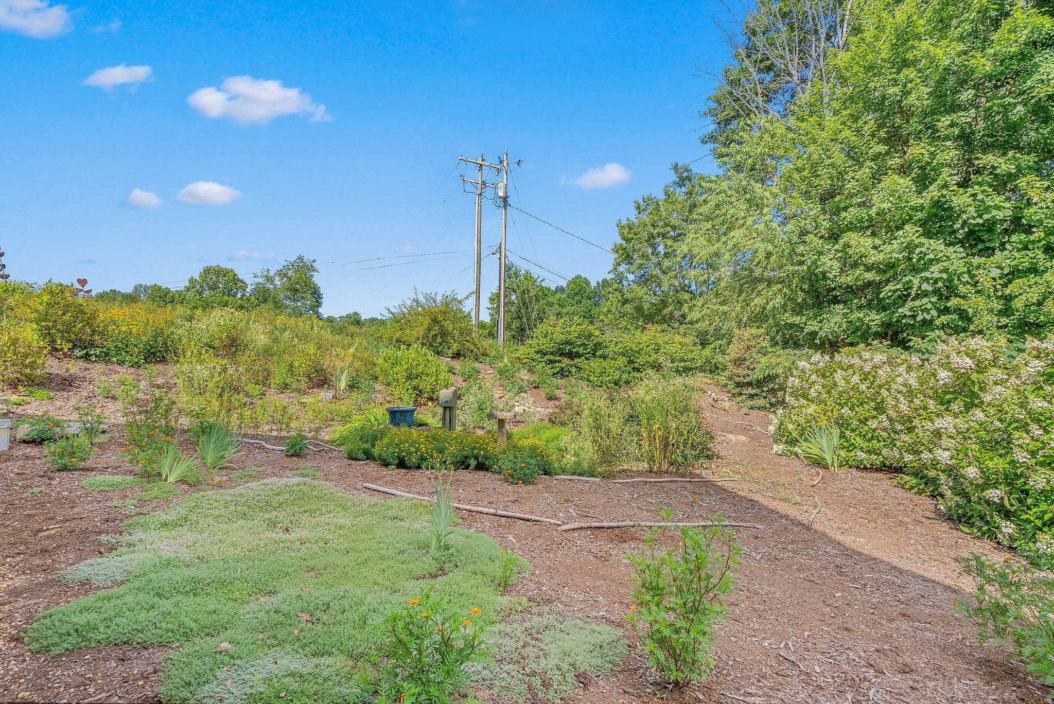 property-listing
