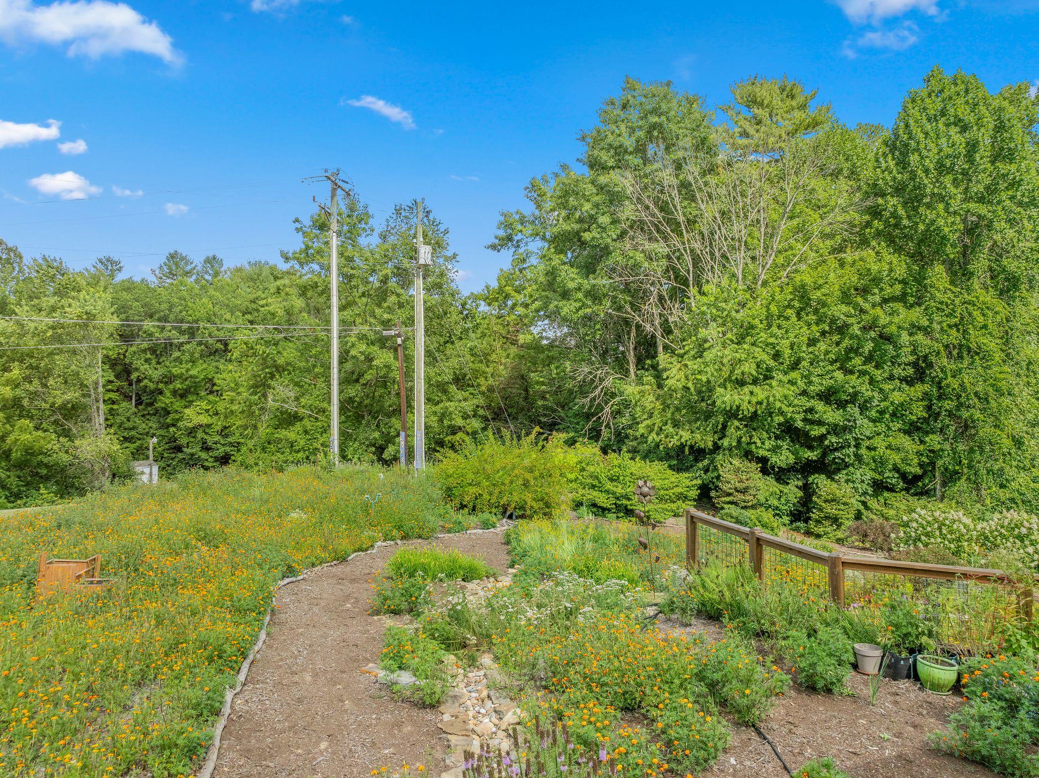 Organic and eatable landscape