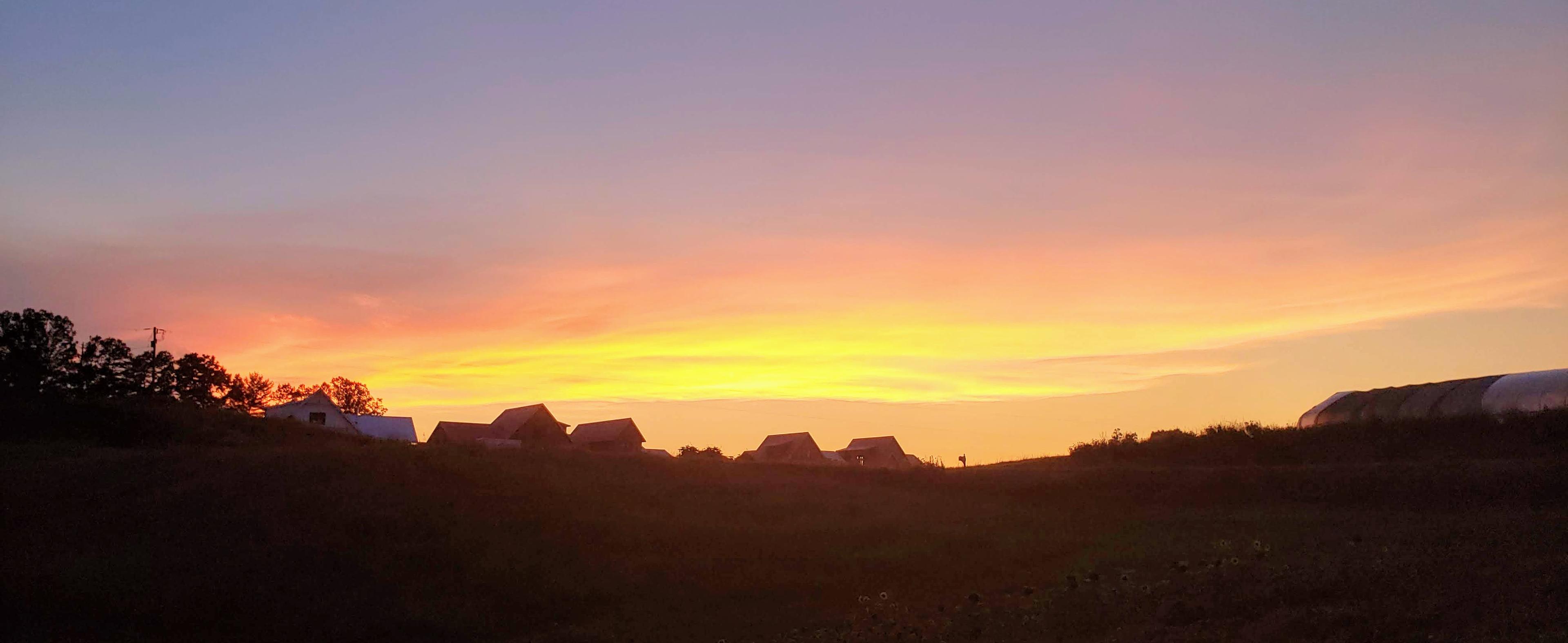 Amazing sunsets