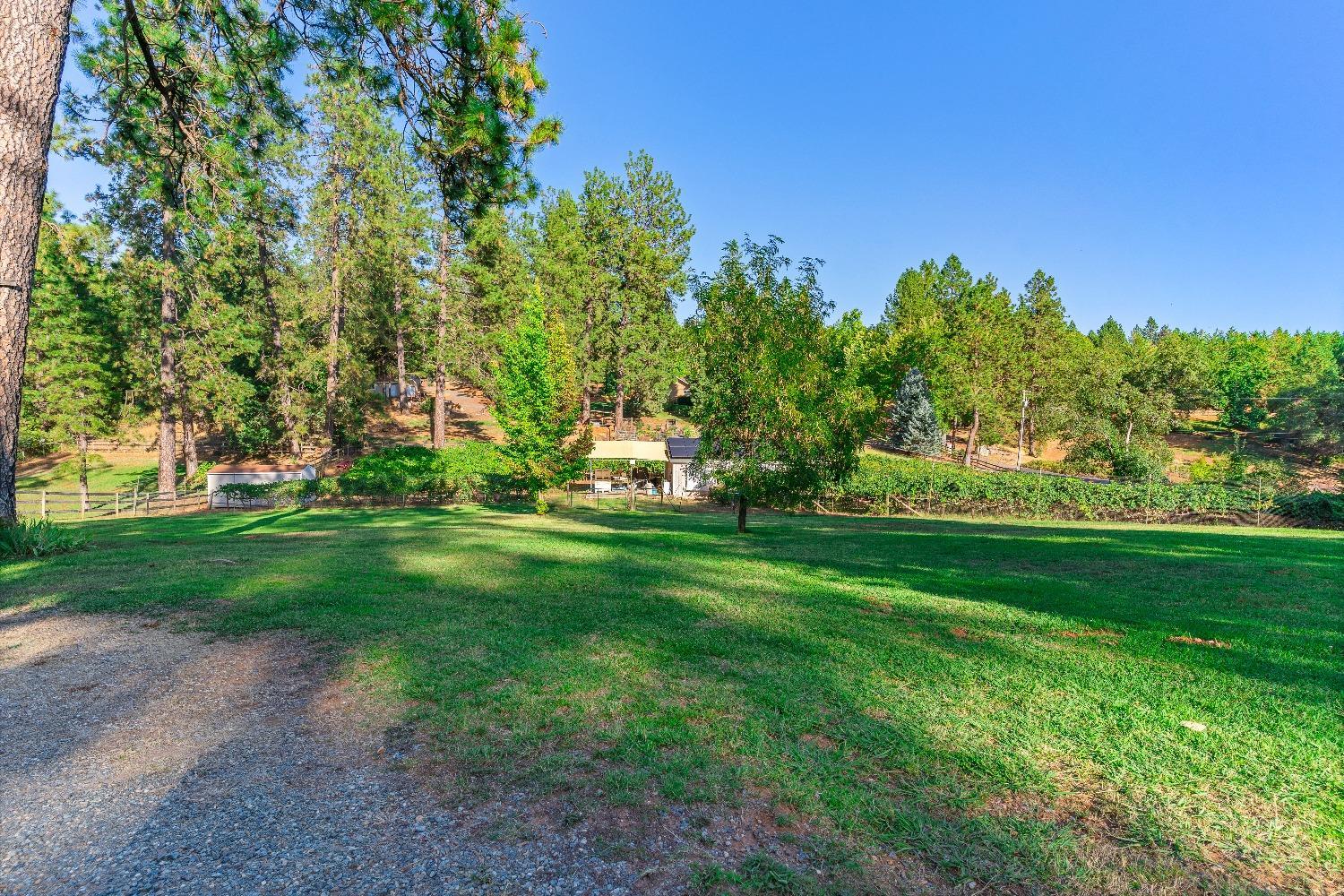 property-listing