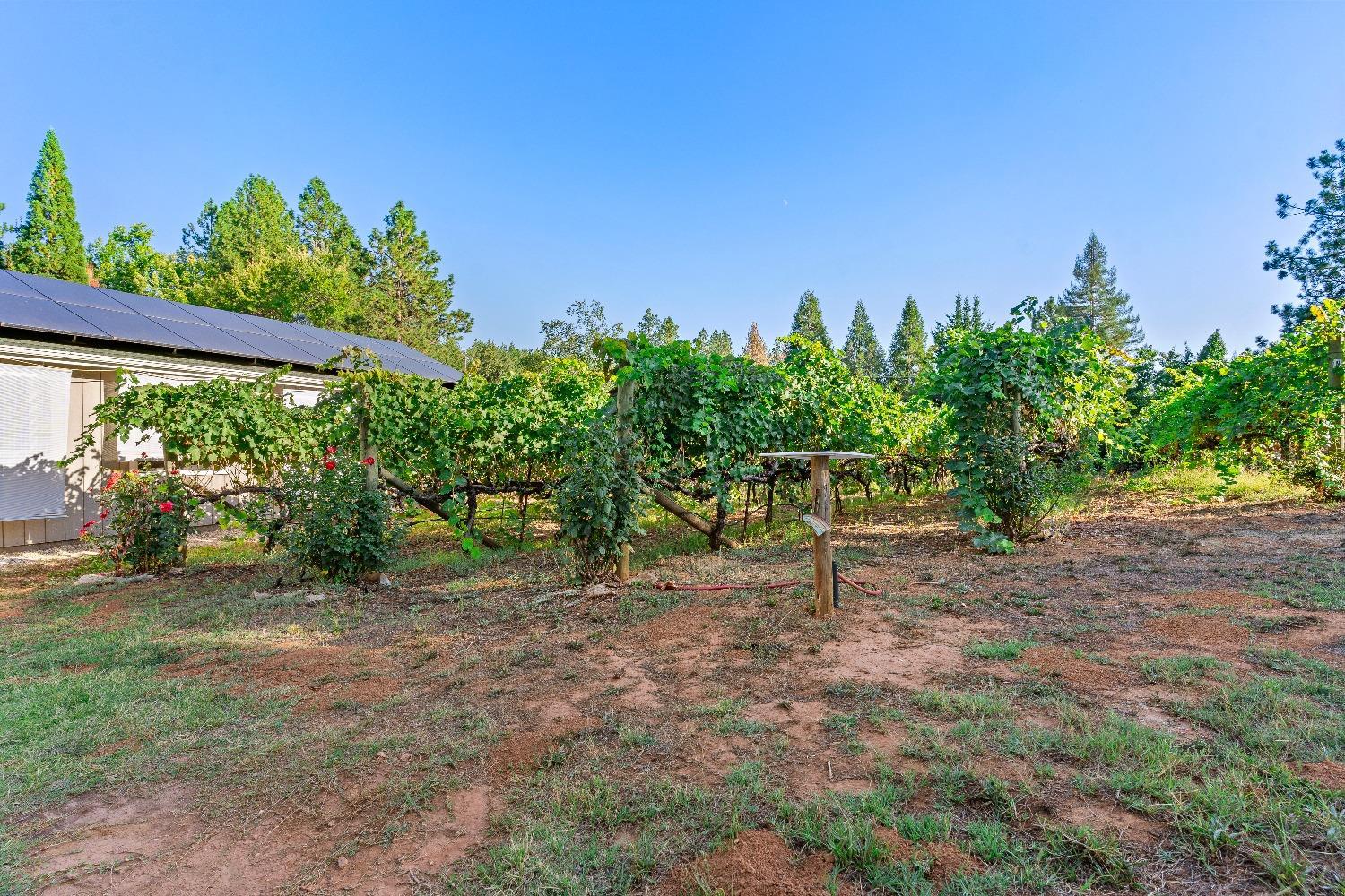 property-listing