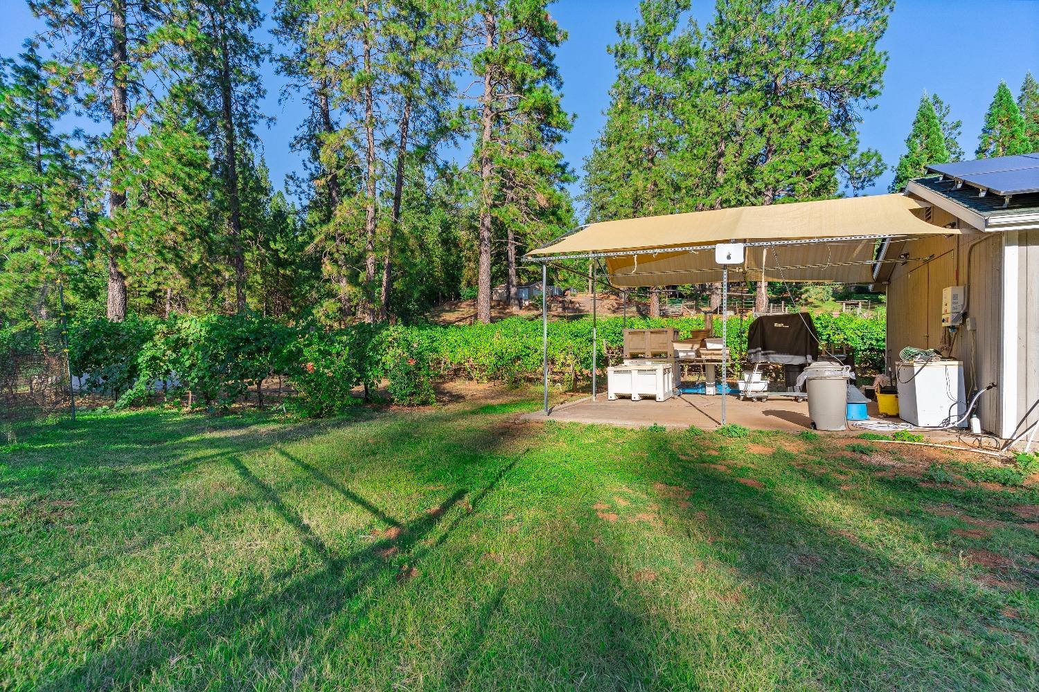 property-listing