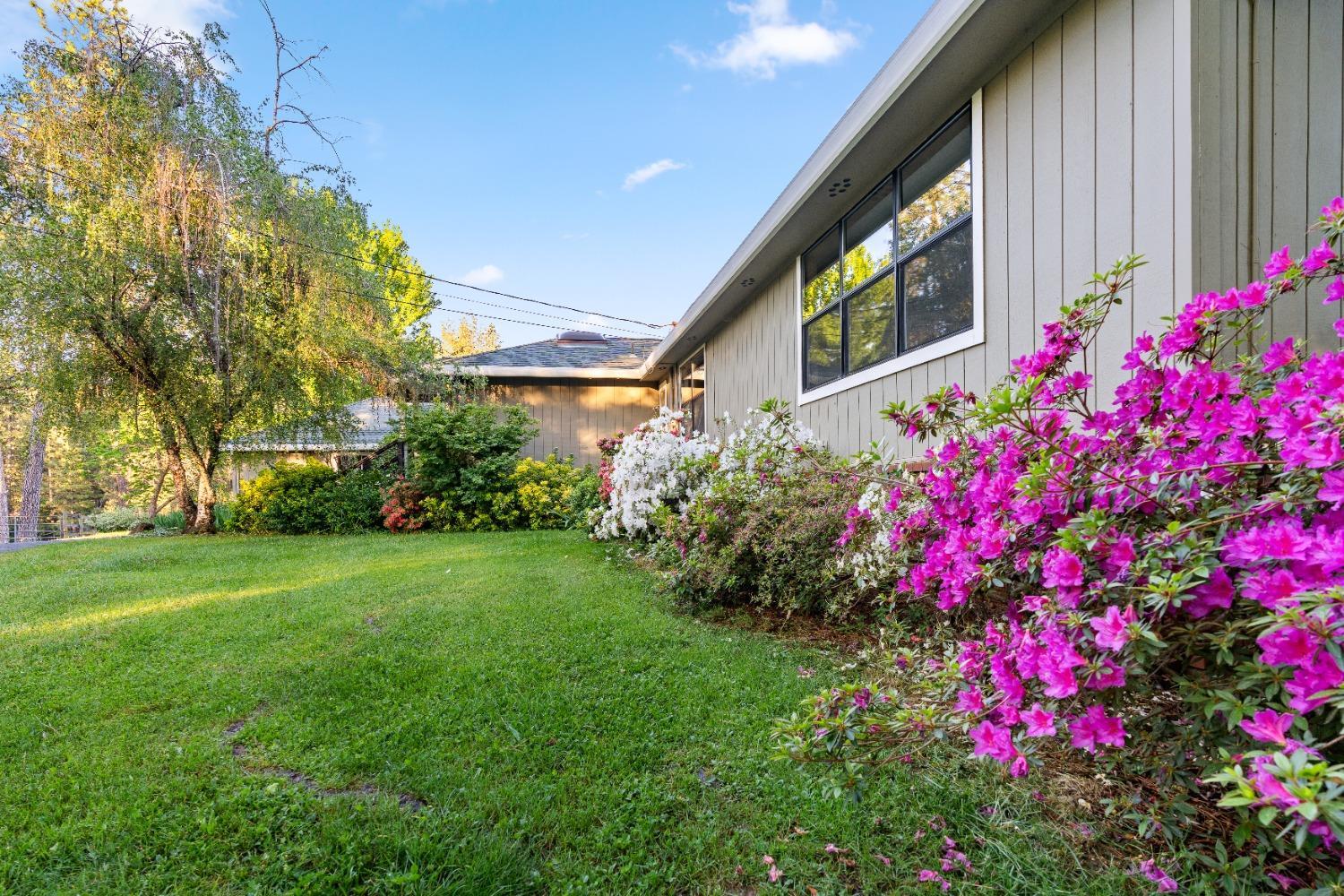 property-listing
