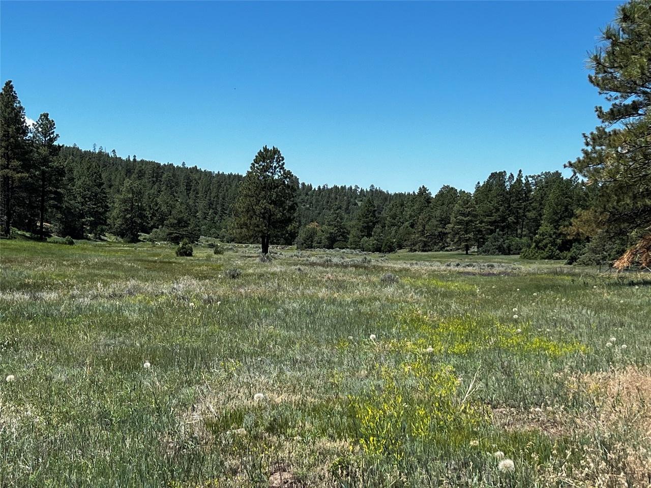 property-listing