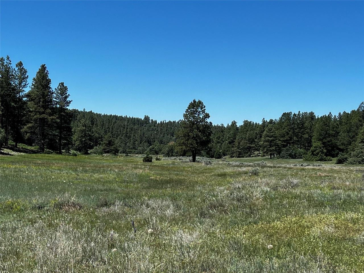 property-listing